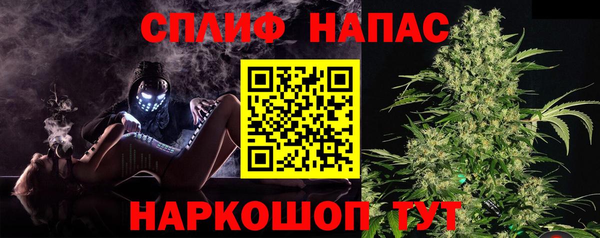 Ессентуки  Канабис семена  Бошки Шишки OG Kush  Марихуана сатива  Каннабис MAZAR  Вход с VPN 